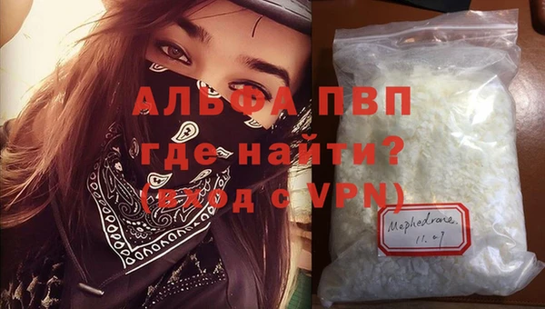 СК Кукмор