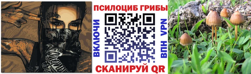 Псилоцибиновые грибы мицелий  где найти наркотики  Киров 